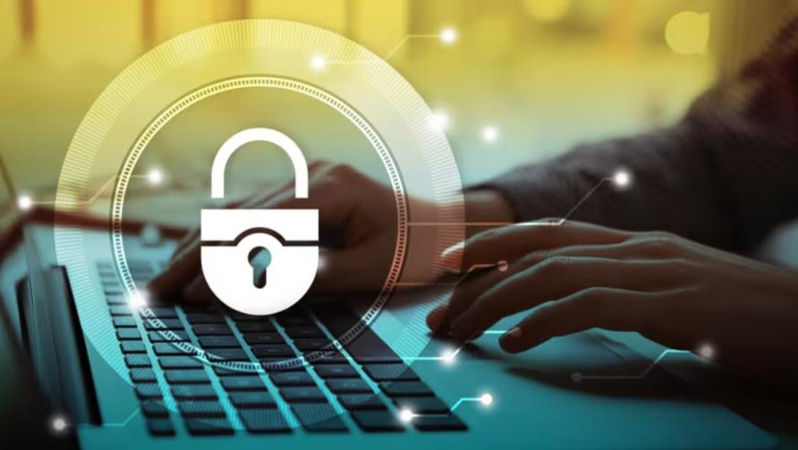 网站设计